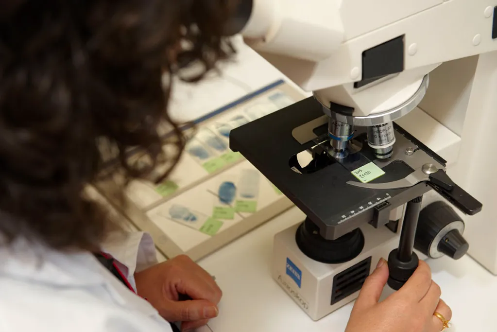 Cytopathology Lab Setup